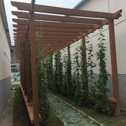  安徽客户反馈木塑景观7